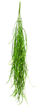 UV-Trailer: Seagrass- trailing 90cm